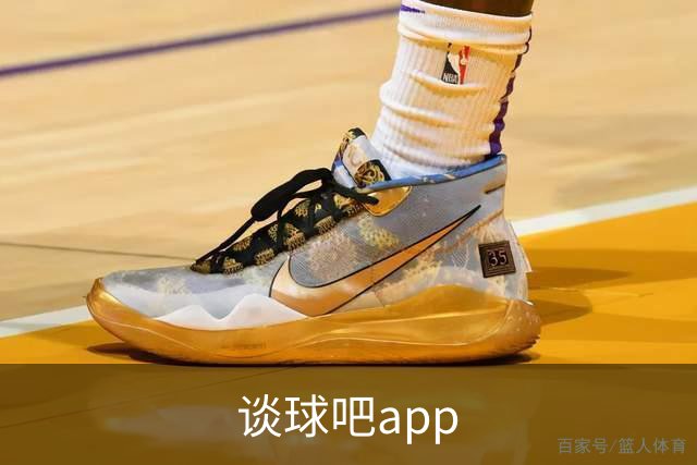 谈球吧app公司介绍展示图